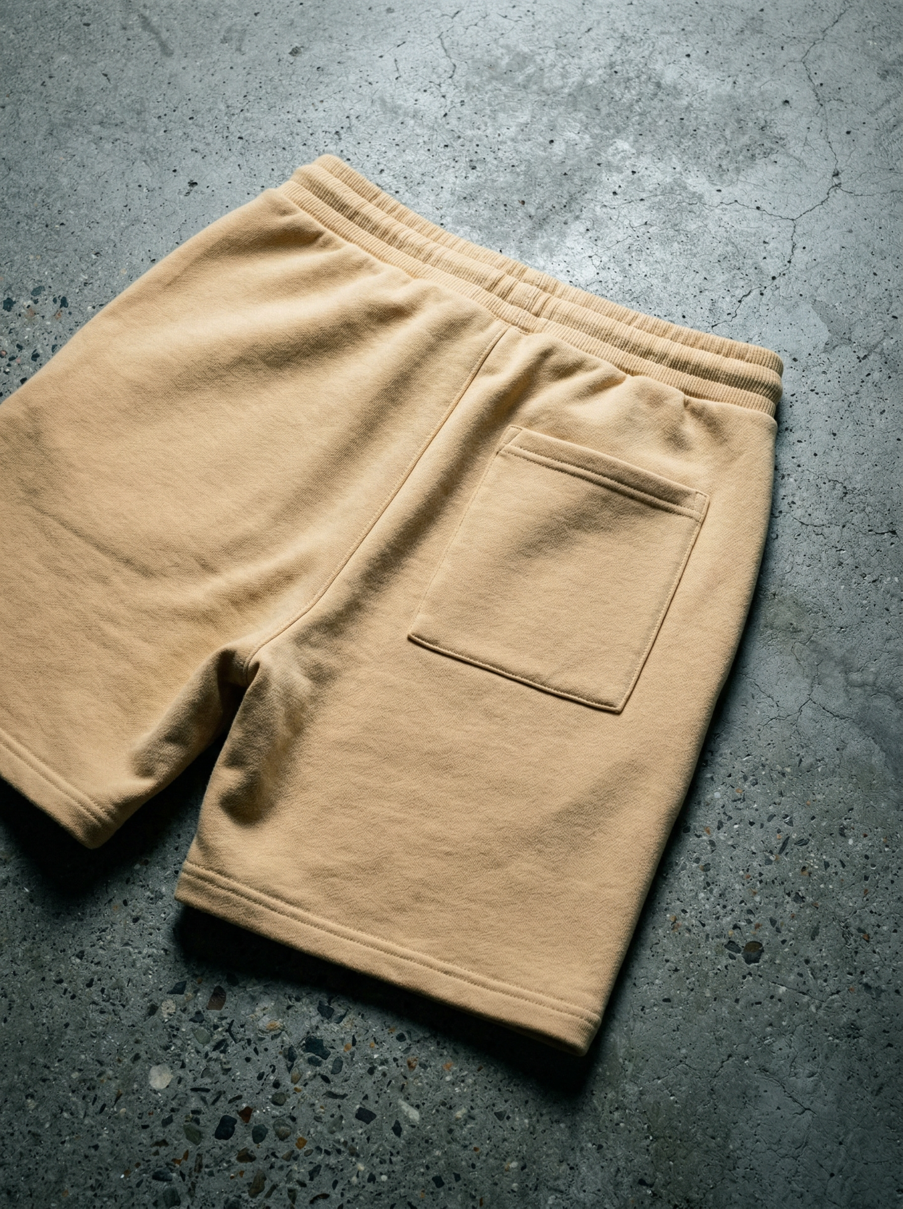 Money Sweatpant Belamor